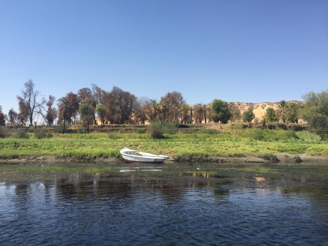 Nuba Narty Hotel Aswan Eksteriør billede